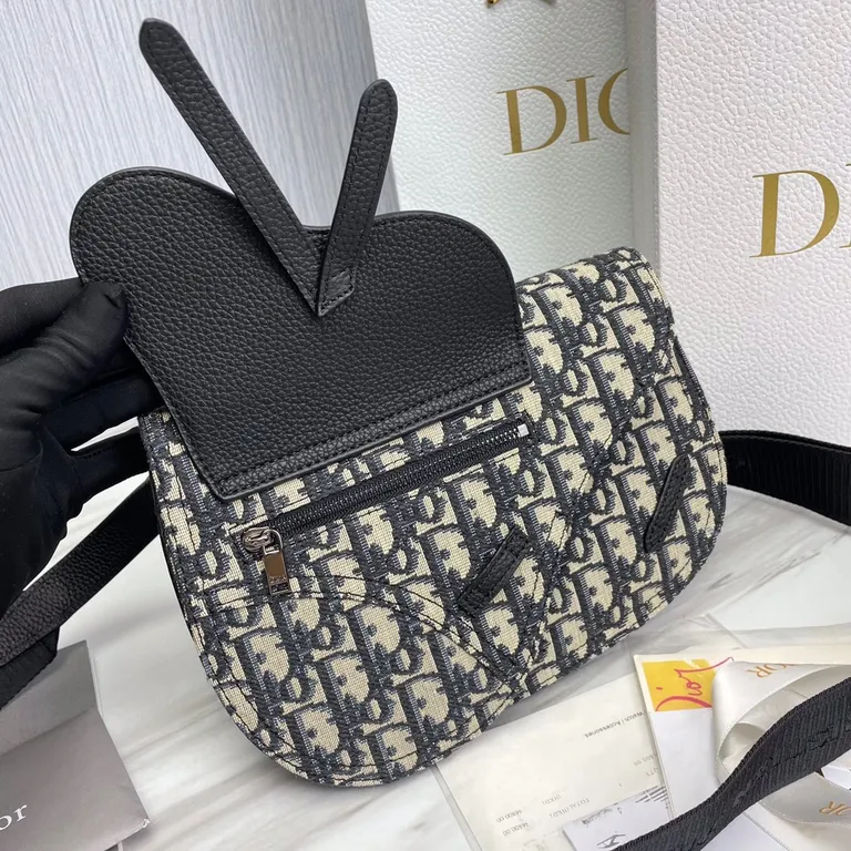 Dior Bag 